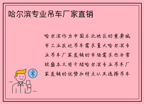 哈尔滨专业吊车厂家直销