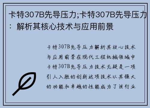 卡特307B先导压力;卡特307B先导压力：解析其核心技术与应用前景